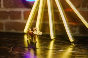 Bitcoin Soars to Record Highs